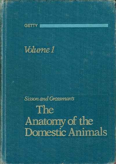 Domestic Animals Pictures Pdf Downloadl