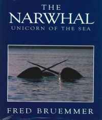 Image of THE NARWHAL
