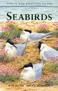 Image of SEABIRDS