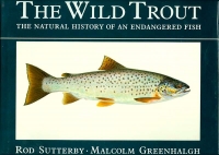 Image of THE WILD TROUT