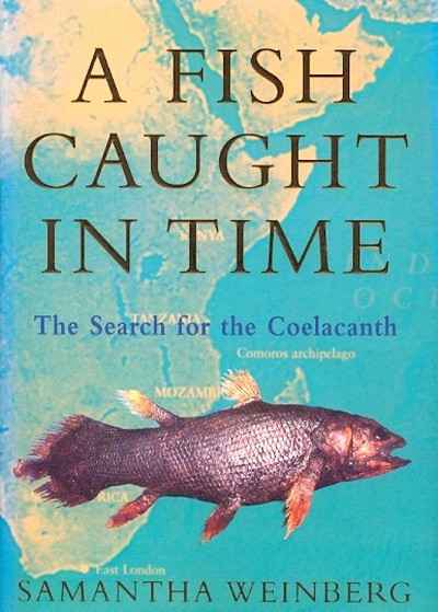 Main Image for A FISH CAUGHT IN TIME