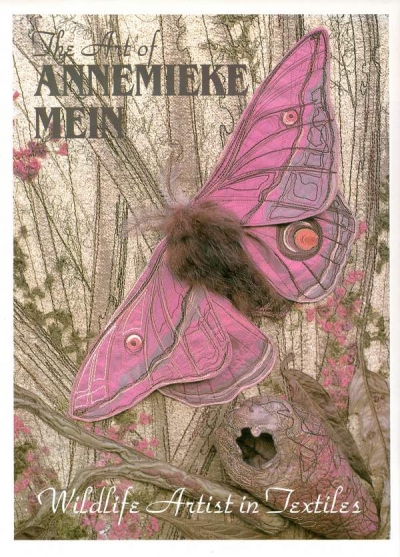 Main Image for THE ART OF ANNEMIEKE MEIN