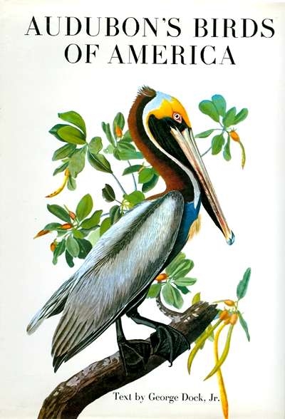 Main Image for AUDUBON'S BIRDS OF AMERICA