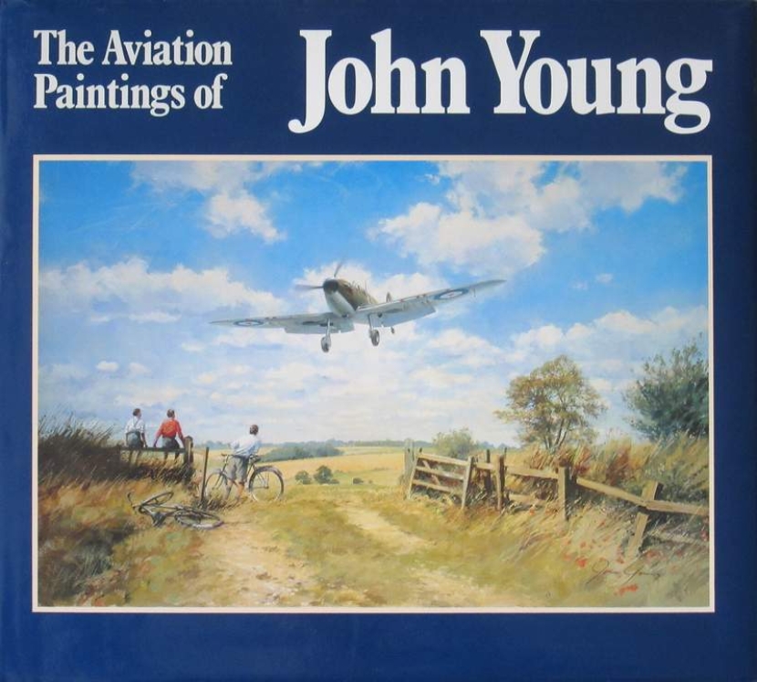 Main Image for THE AVIATION PAINTINGS OF JOHN ...