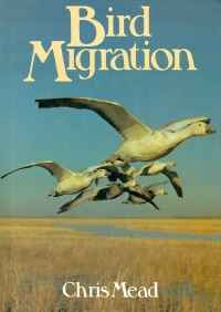 Image of BIRD MIGRATION