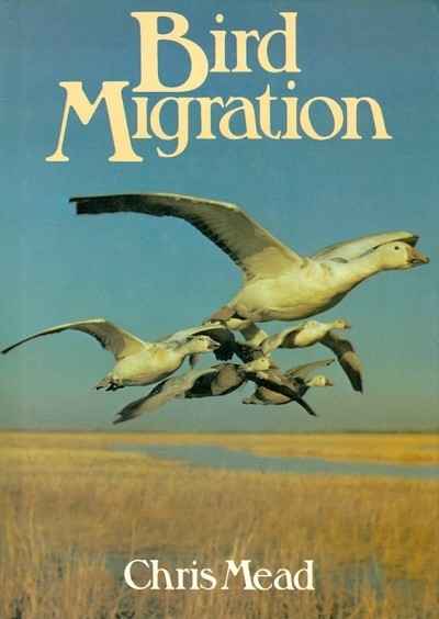 Main Image for BIRD MIGRATION