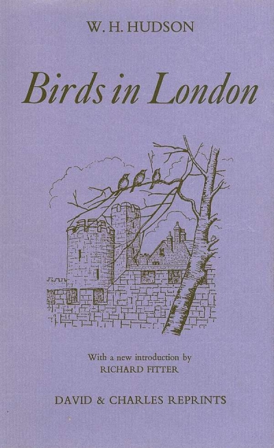 Main Image for BIRDS IN LONDON