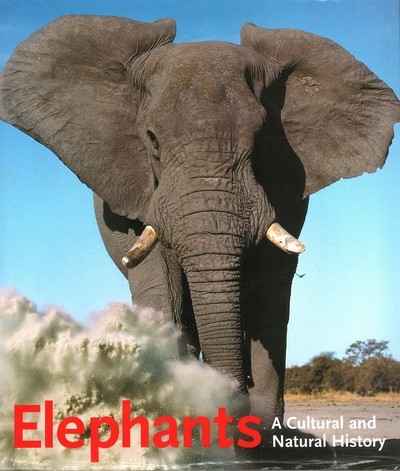 Main Image for ELEPHANTS