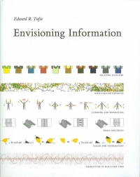 Image of ENVISIONING INFORMATION