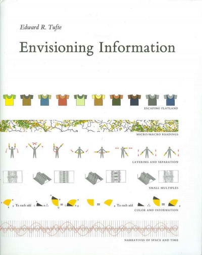 Main Image for ENVISIONING INFORMATION
