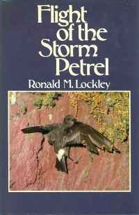 Image of FLIGHT OF THE STORM PETREL