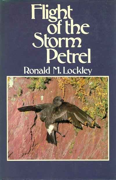Main Image for FLIGHT OF THE STORM PETREL