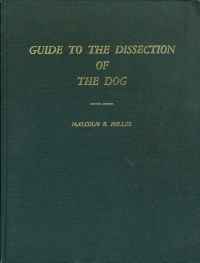 Image of GUIDE TO THE DISSECTION OF ...