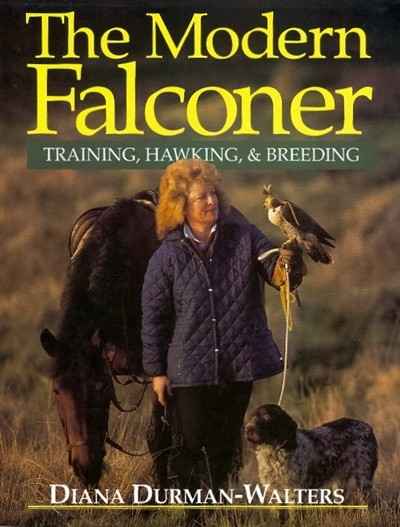 Main Image for THE MODERN FALCONER