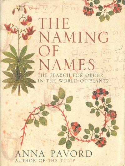 Main Image for THE NAMING OF NAMES