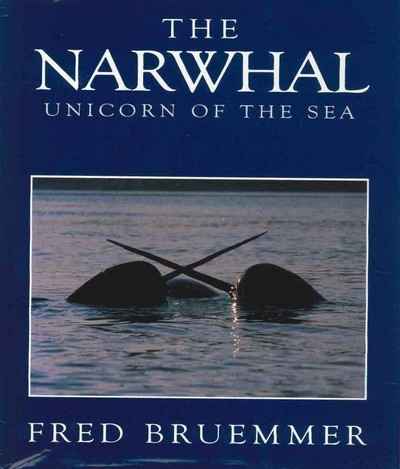 Main Image for THE NARWHAL