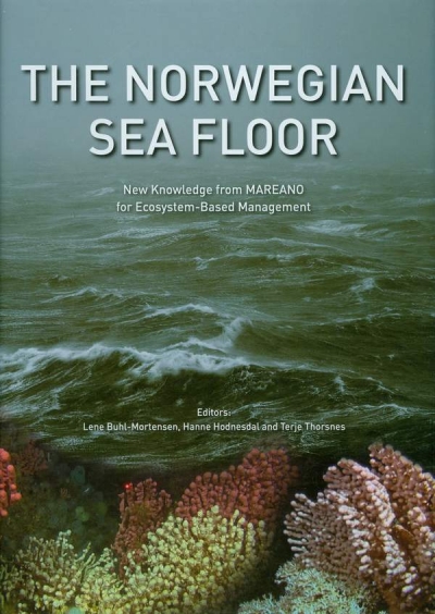 Main Image for THE NORWEGIAN SEA FLOOR