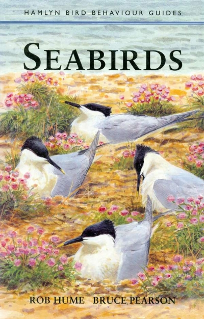 Main Image for SEABIRDS