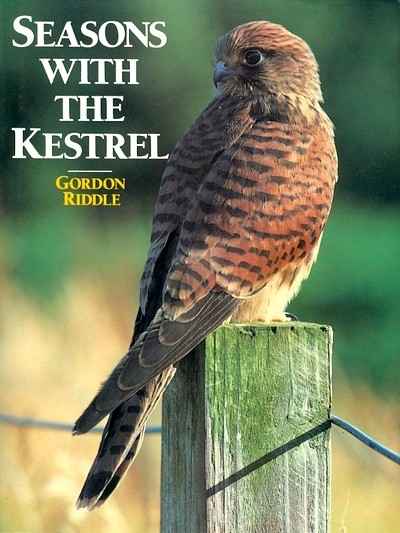 Main Image for SEASONS WITH THE KESTREL