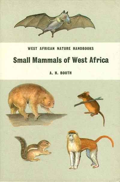 Main Image for SMALL MAMMALS OF WEST AFRICA