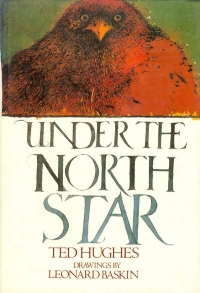 Image of UNDER THE NORTH STAR