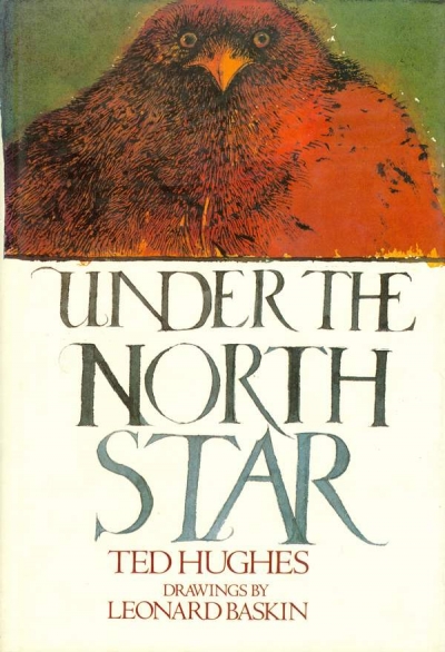 Main Image for UNDER THE NORTH STAR