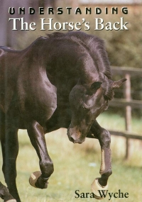 Image of UNDERSTANDING THE HORSE’S BACK