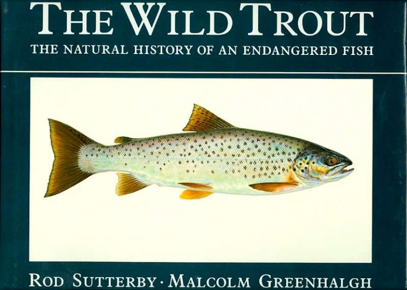 Main Image for THE WILD TROUT