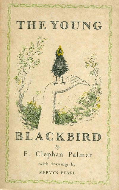 Main Image for THE YOUNG BLACKBIRD